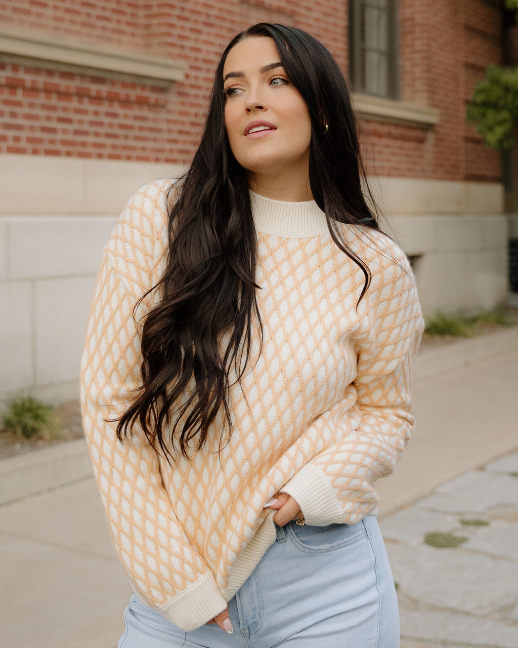 Daphne Mock Neck Sweater