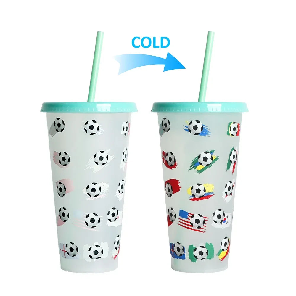 710ml Color Changing Cup with Straw | Reusable Magic Cold Water Bottle