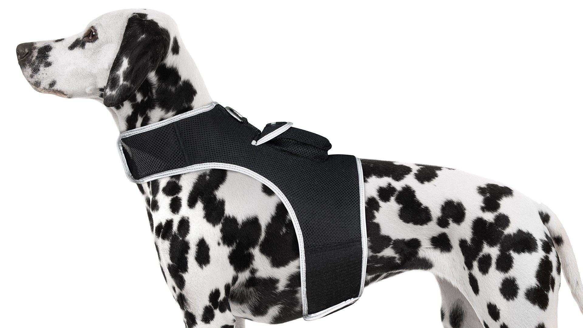 Collar Rechargeable Portable GPS Tracking Devices for Pets GSM Locator Size:S