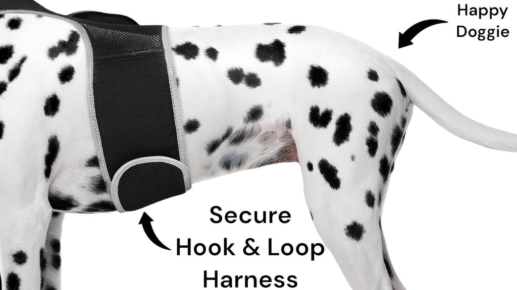 Easy Setup Waterproof Mini GPS Realtime Pet GSM GPRS Tracking Device Size:L