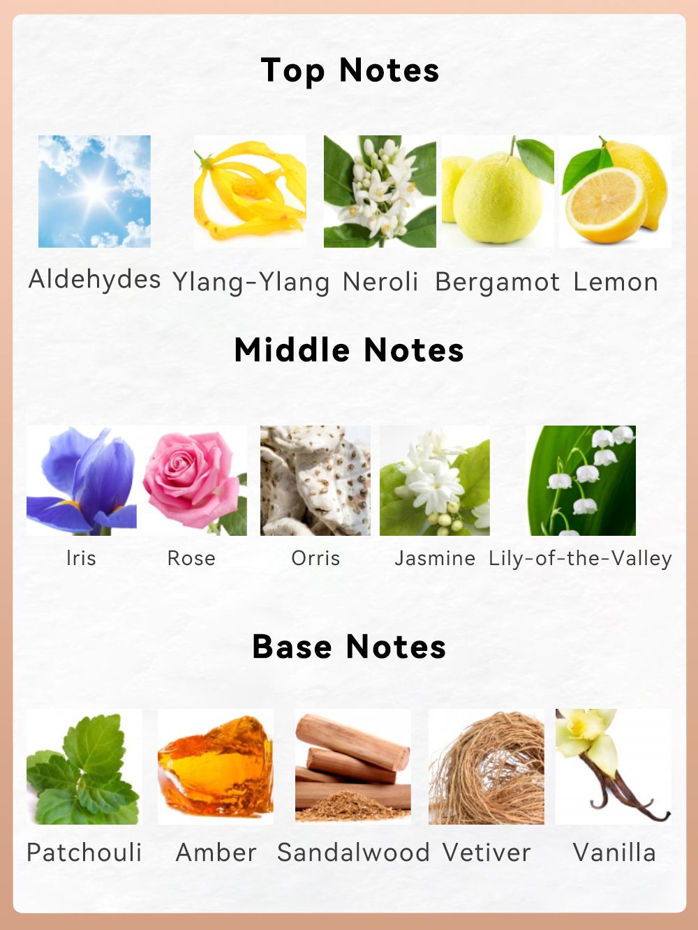 2-piece set, women's perfume spray and body lotion gift box, lasting fragrance, aldehydes, jasmine, ylang, orange blossom, bergamot, lemon flavor, very suitable for holiday gifts, dates, parties