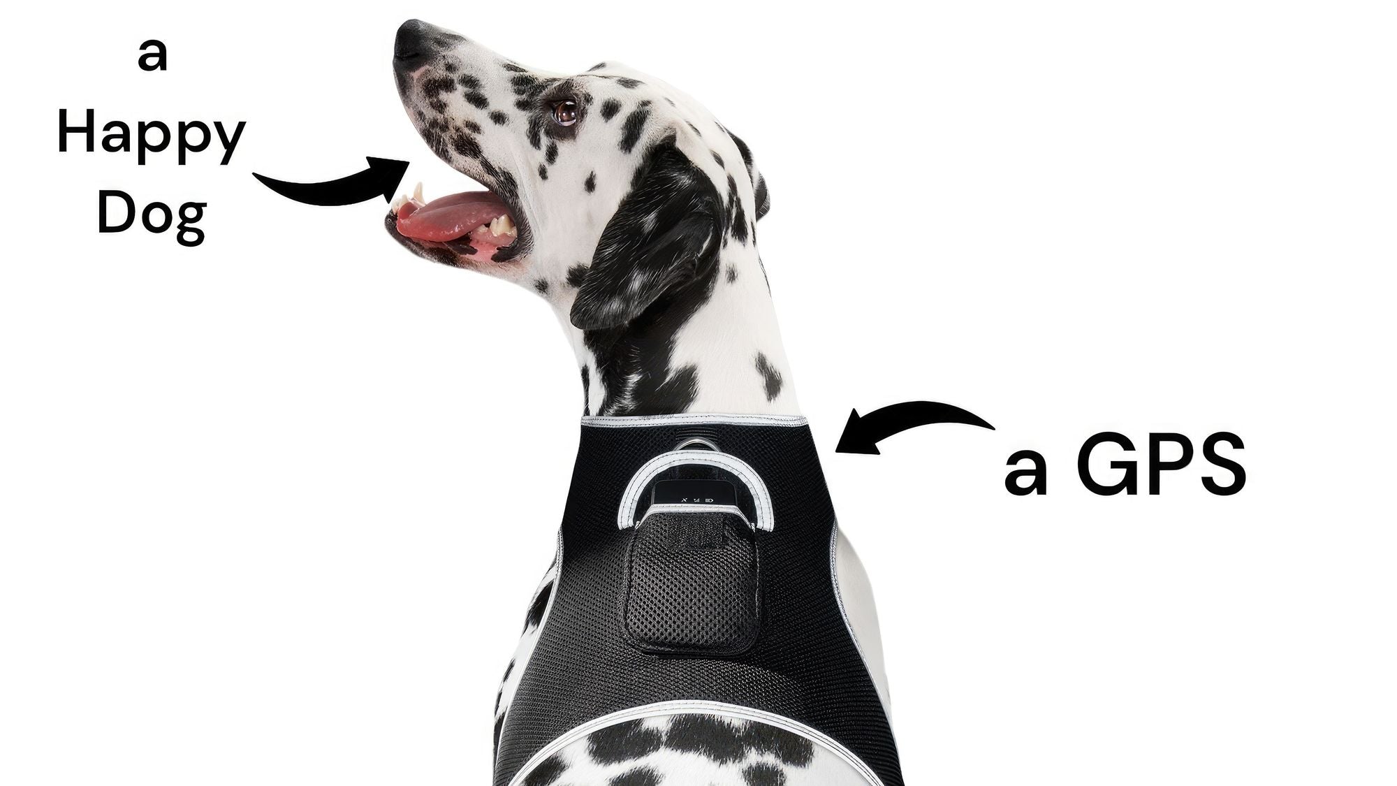 Keep Pet Safe with Pet Tracker GPS Dog Collar Tracking Device + Phone App Size:M