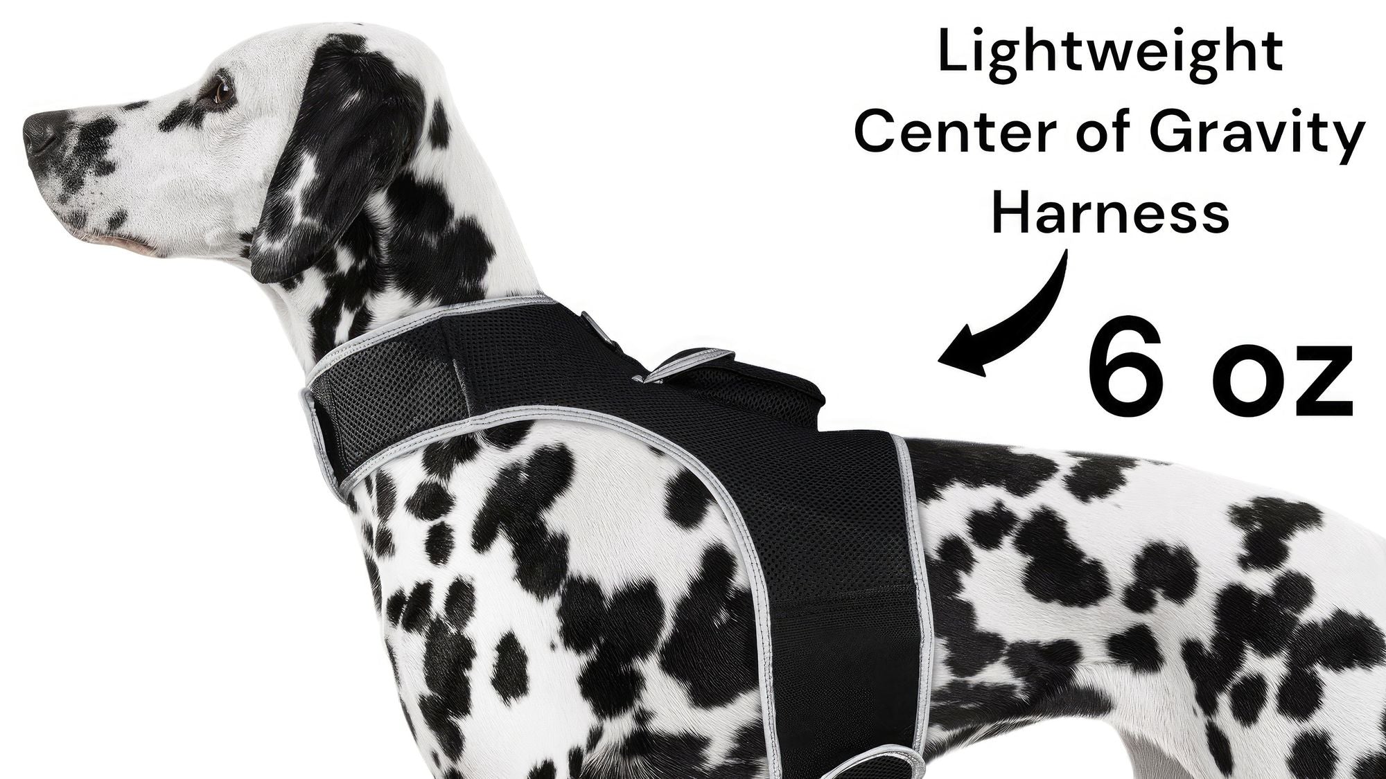 Waterproof Collar Mount Tracker Realtime GPS GSM Puppy Tracking Device Size:L