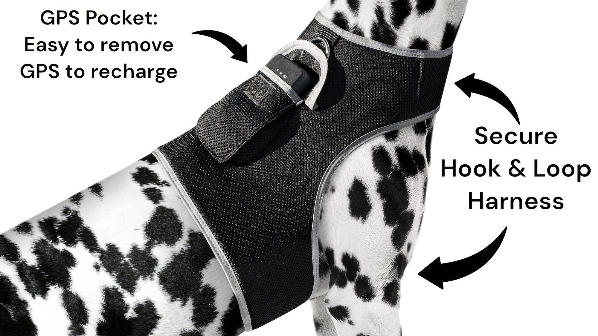 Keep Pet Safe with Pet Tracker GPS Dog Collar Tracking Device + Phone App Size:M