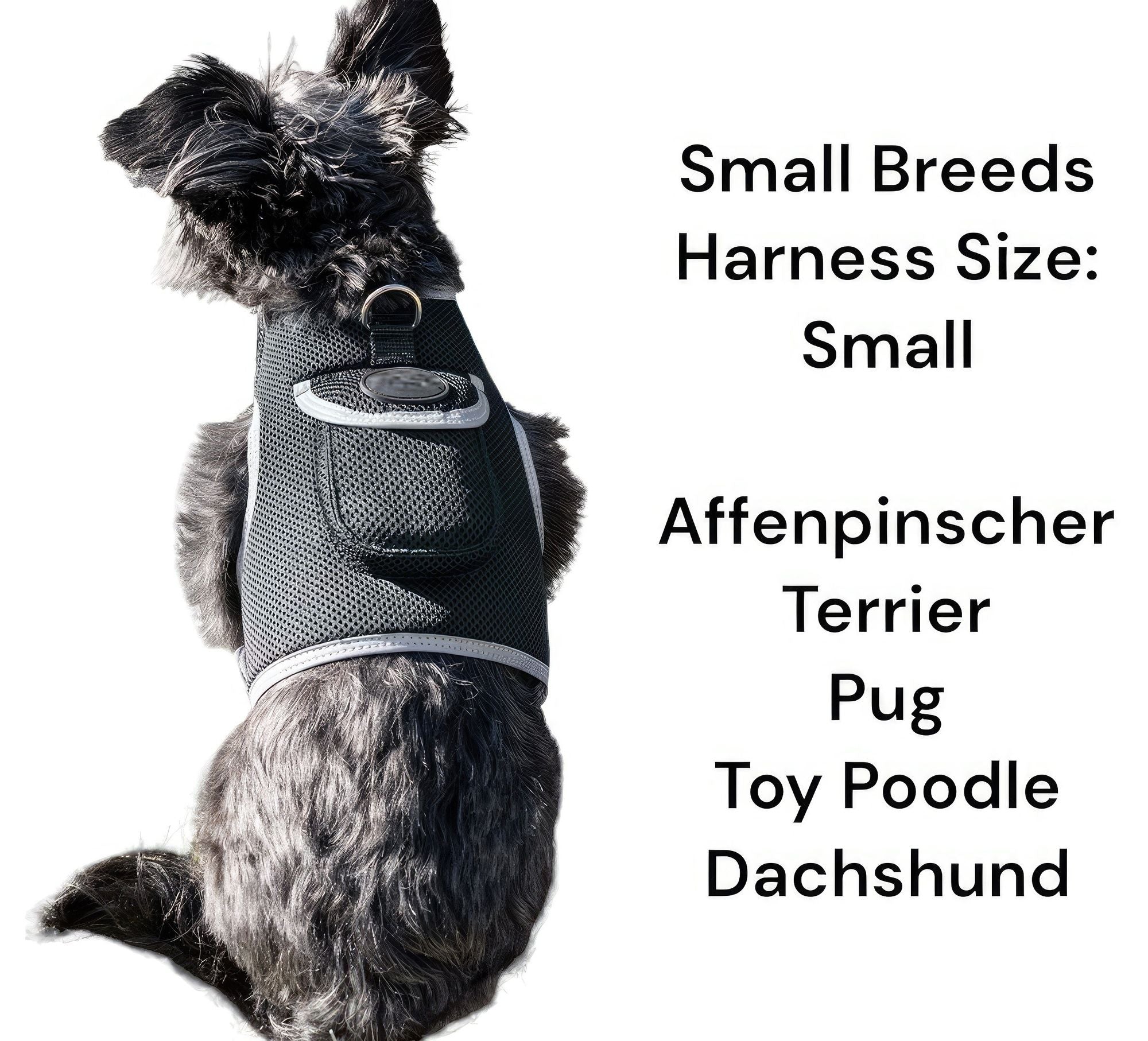 Keep Pet Safe with Pet Tracker GPS Dog Collar Tracking Device + Phone App Size:M