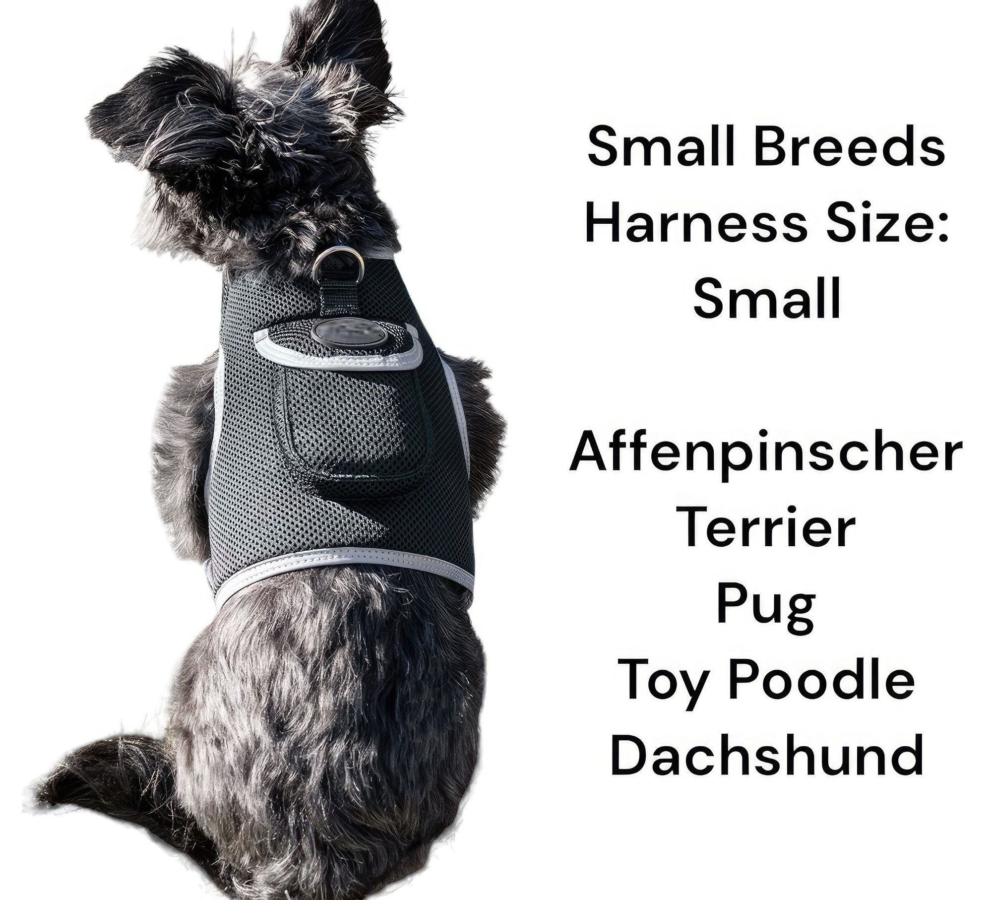 Waterproof GPS Tracker Dog Cat Rechargeable Locator with Battery Alert Size:L